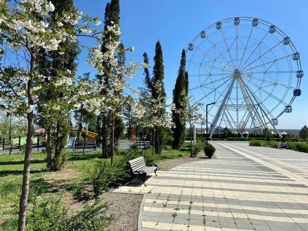 Центральный парк культуры и отдыха, Волгоград